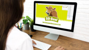 Firmenauftritt durch Grafikerin designt