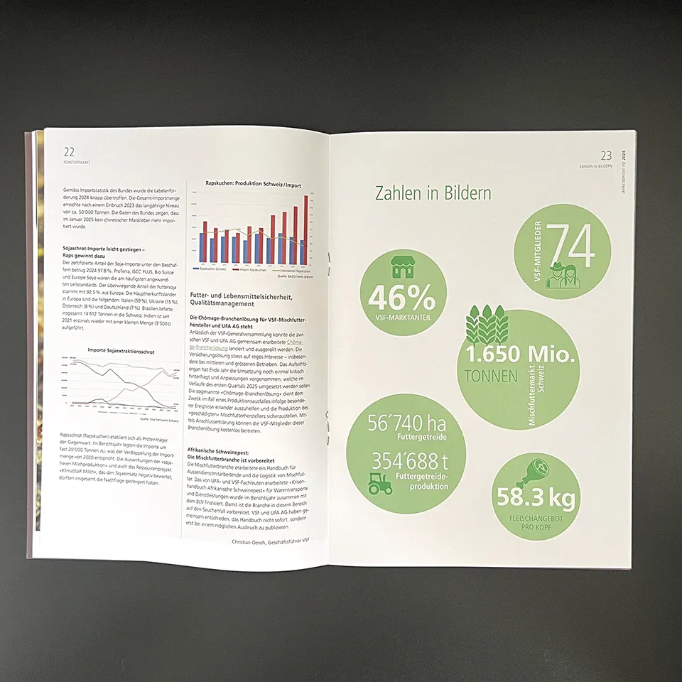 Geschäftsbericht 6